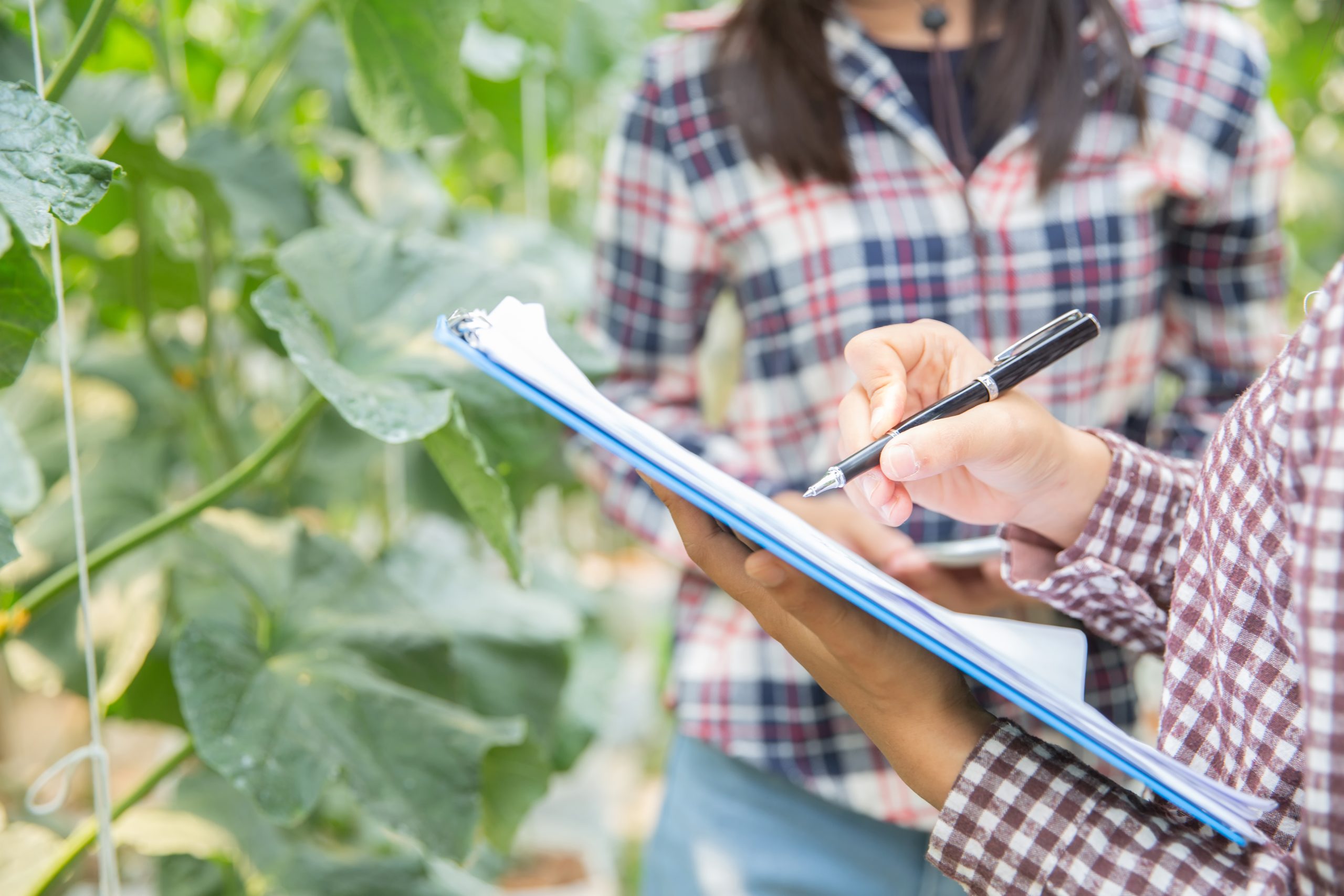 Agrogestión: asesoramiento ganadero caza