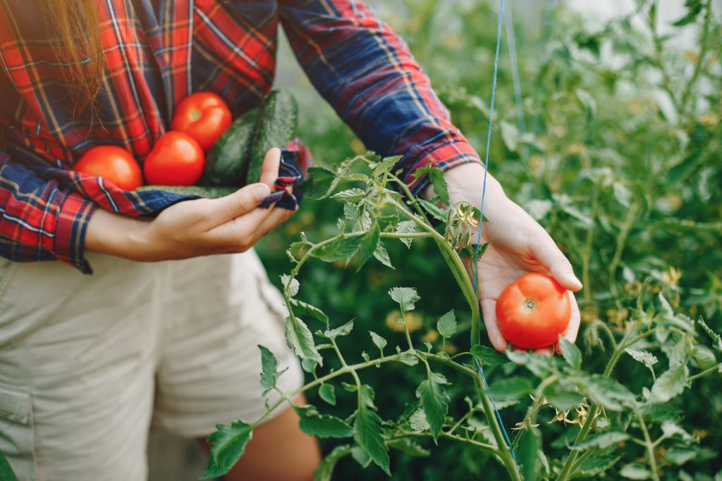 Agrogestión SECEX Empresa especializada en el asesoramiento de agricultores y ganaderos